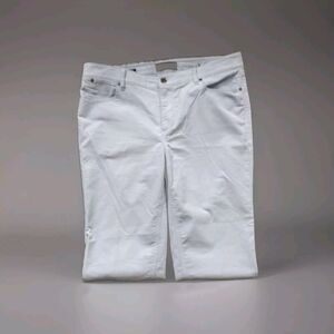 Talbots The FAB 5 Straight Leg Pale Blue Brushed Pants Flawless Five Pocket Sz 8